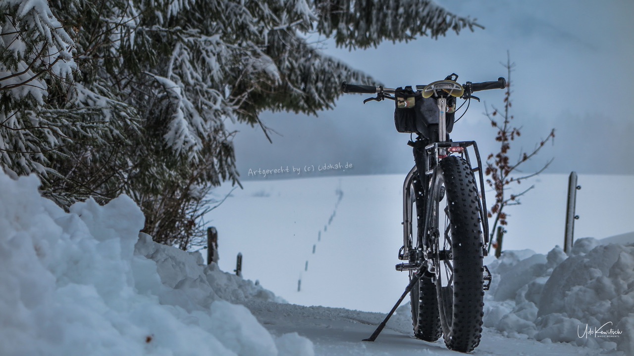 Rennstahl Fatbike Pinion 931