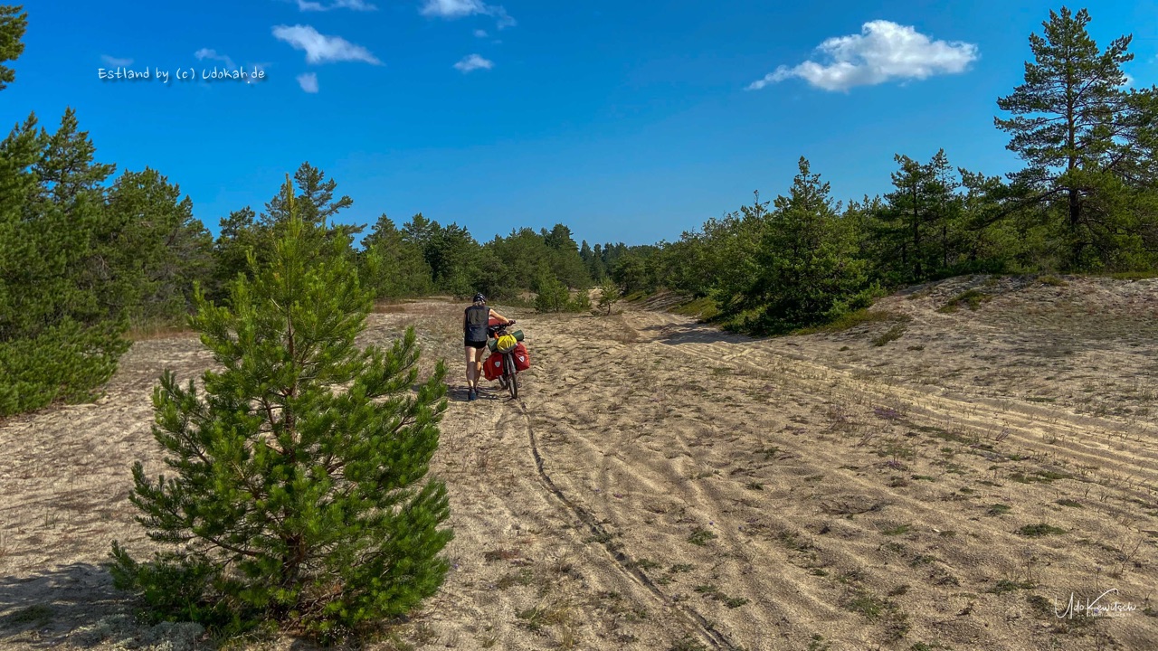 Ostsee Heptalogie – Teil4 – Estland