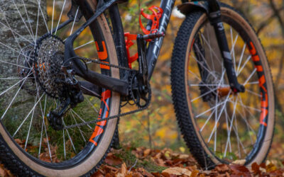 Bockstein – Bock drauf