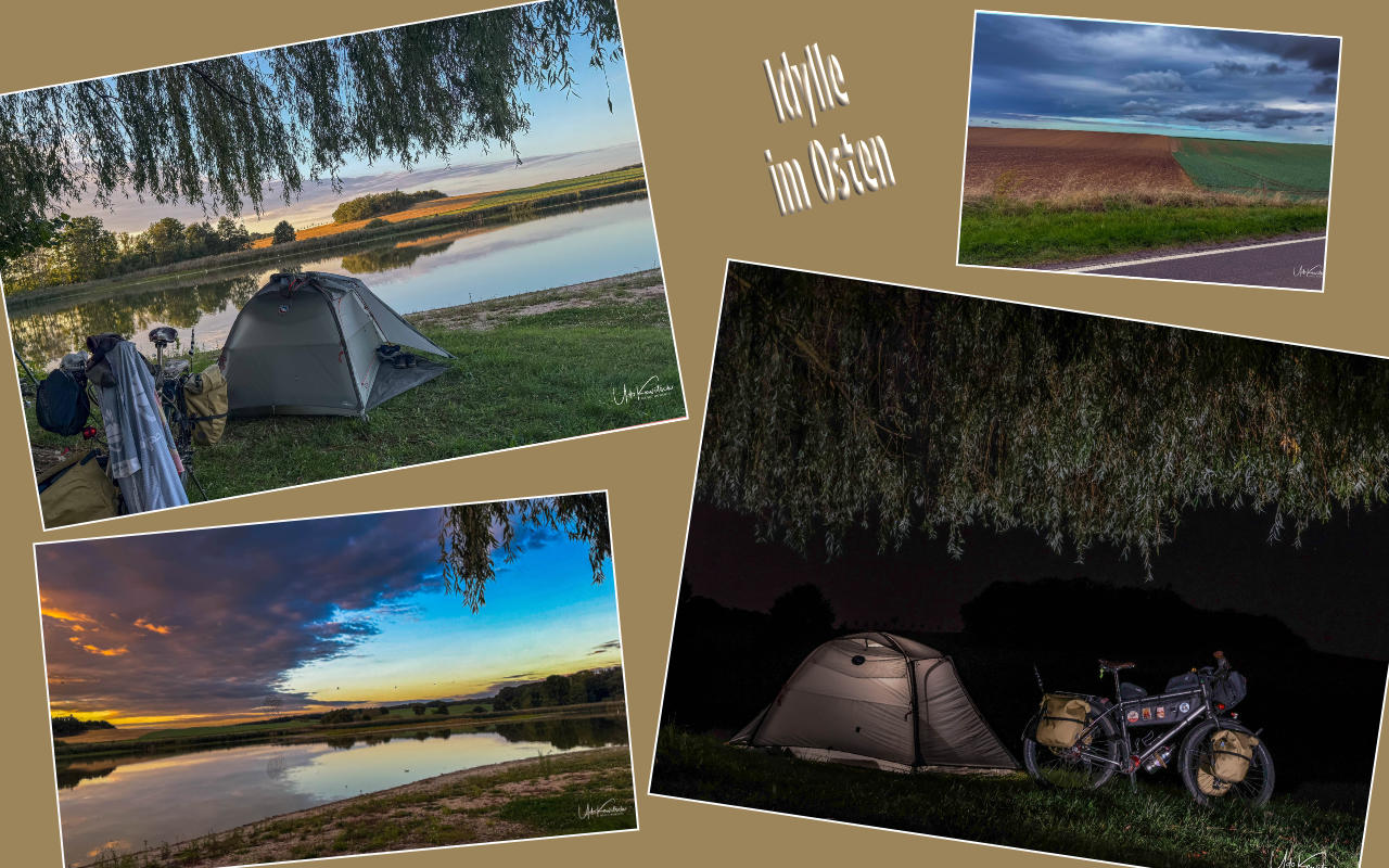 MittellandT6